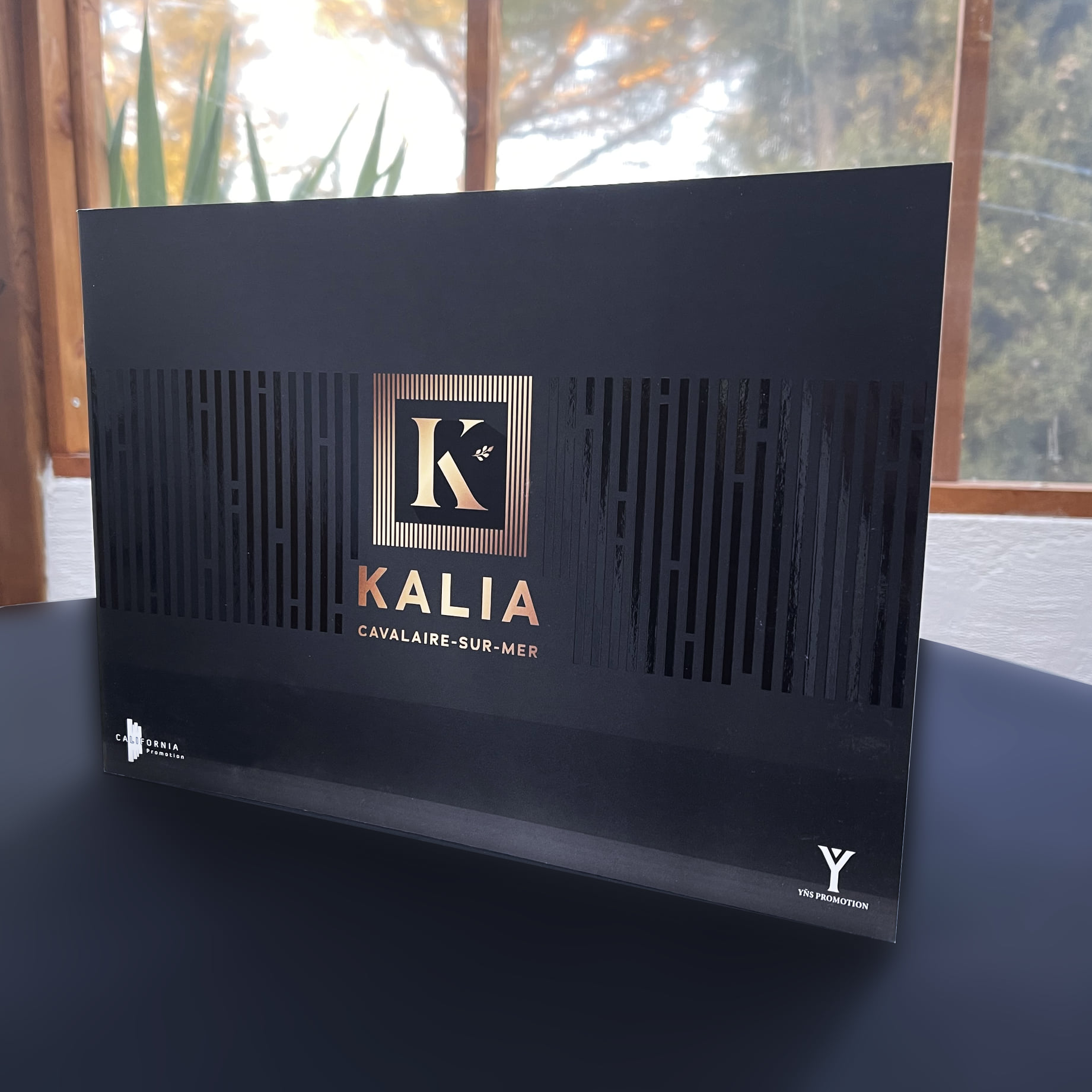 Brochure immobilière avec finition vernis sélectif